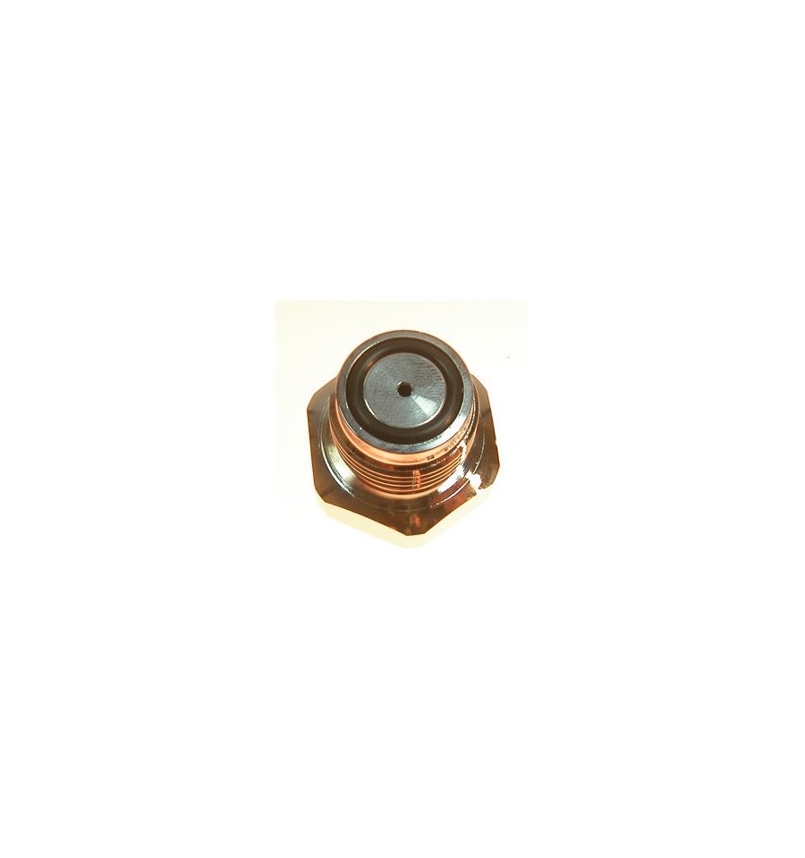 Close-up of a brass or copper-colored valve fitting with black rubber seal, on white background; warm metallic tones; neat and detailed.
